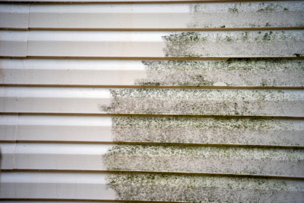 Best Garage Cleanout  in Madison Heights, MI